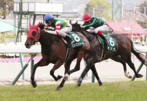 2016-福島牝馬S